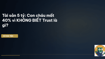 trust là gì
