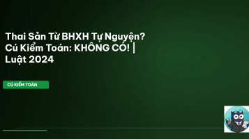 BHXH tự nguyện thai sản