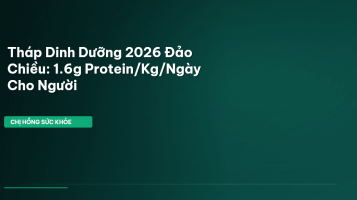 protein 1.6g/kg
