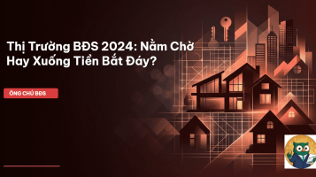 thị trường bđs 2024