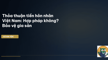 thỏa thuận tiền hôn nhân Việt Nam