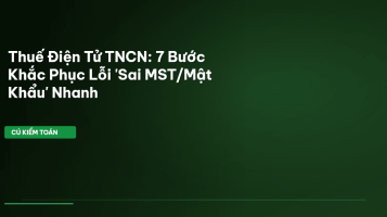 thuế điện tử tncn