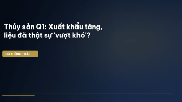 BCTC Q1 thủy sản
