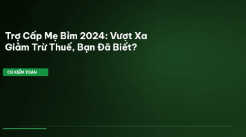 trợ cấp mẹ bỉm sữa