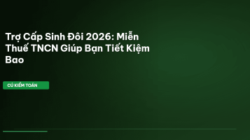 trợ cấp sinh đôi