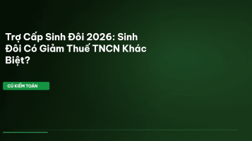 trợ cấp sinh đôi