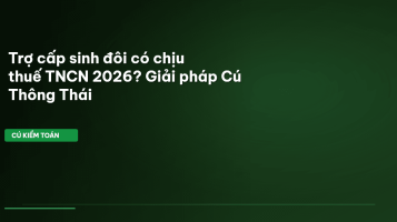 trợ cấp sinh đôi
