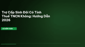 trợ cấp sinh đôi