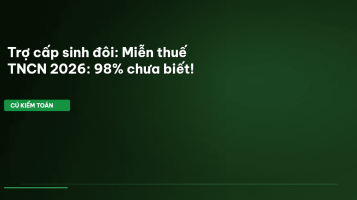 trợ cấp sinh đôi miễn thuế TNCN