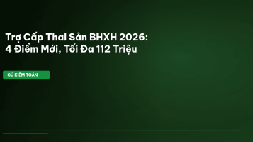 trợ cấp thai sản 2026