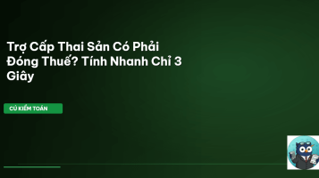 trợ cấp thai sản