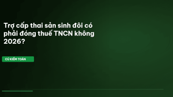 trợ cấp thai sản sinh đôi