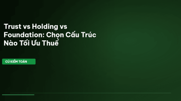 Trust Holding Foundation