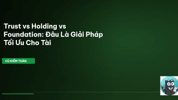 Trust vs Holding