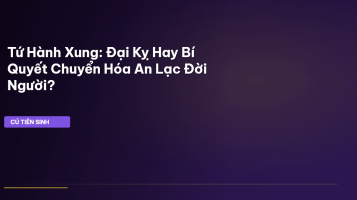 tứ hành xung
