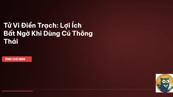 tử vi điền trạch