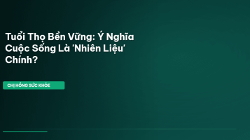 ý nghĩa cuộc sống