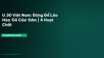 collagen chống lão hóa