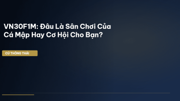 vn30 phai sinh