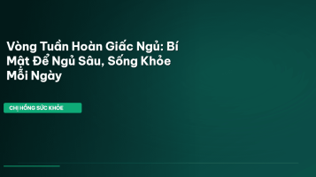 vòng tuần hoàn giấc ngủ