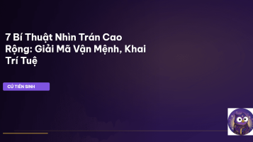 trán cao rộng