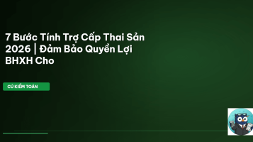 trợ cấp thai sản 2026