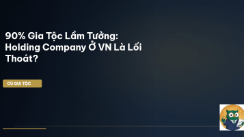 holding company Việt Nam