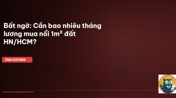 thị trường nhà đất 2026