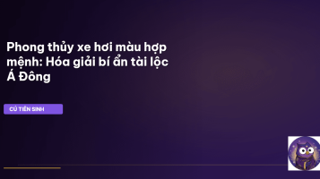 phong thủy xe hơi