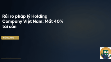 Holding Company Việt Nam
